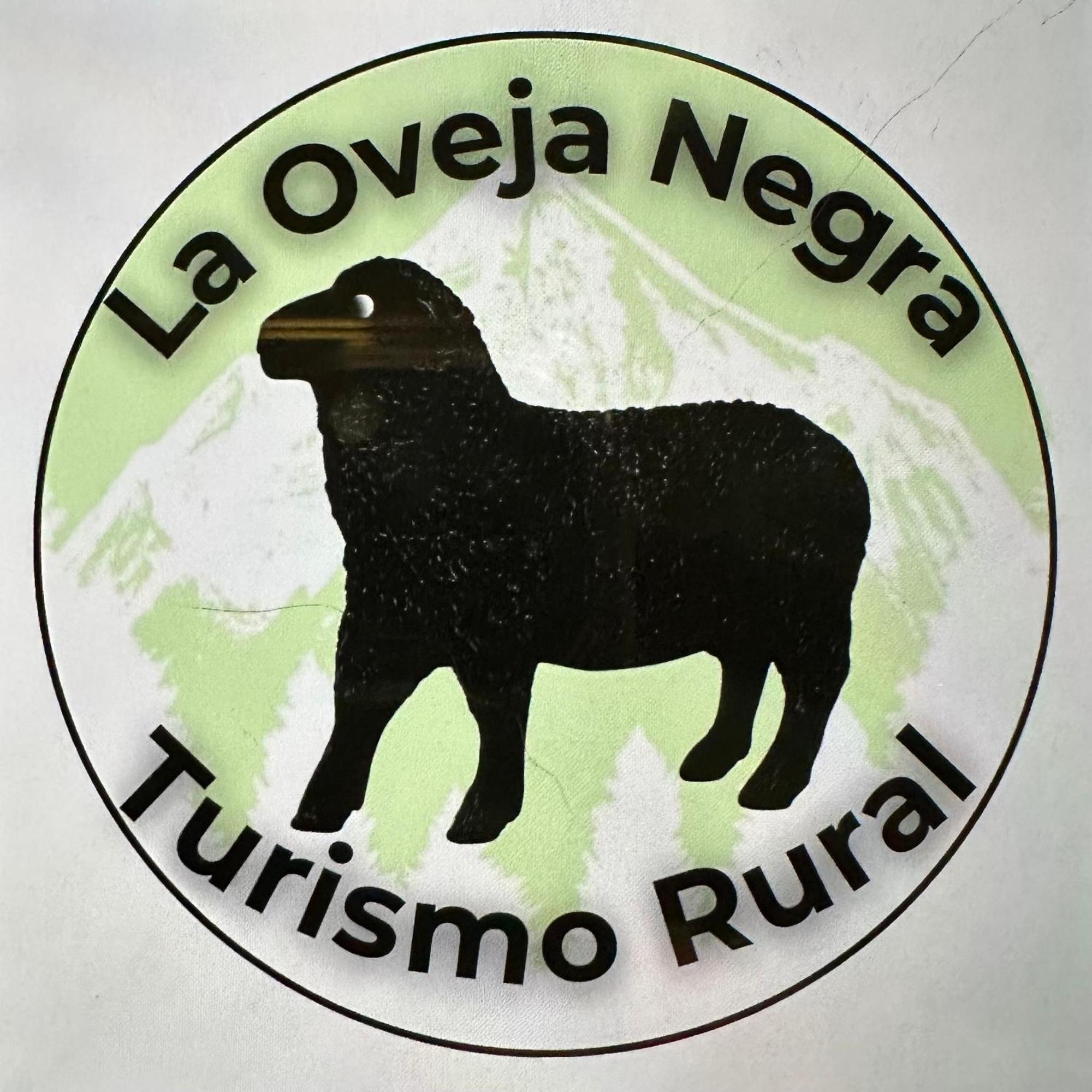 Casa La Oveja Negra, Con Piscina Villa Ourense Eksteriør billede